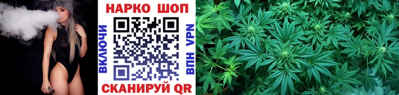 Купить закладку Гашиш  Кокаин  Меф мяу мяу  Alpha-PVP  Конопля  Бологое