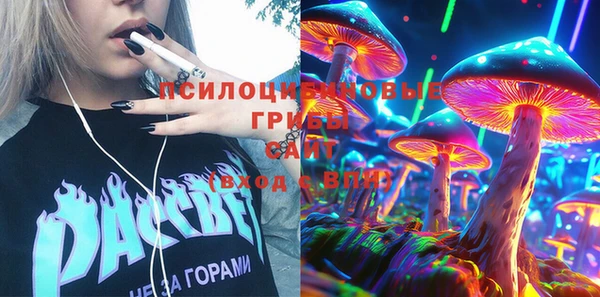 ECSTASY Коряжма