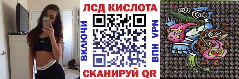 Купить  Бологое  Марки N-bome 1,5мг 