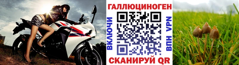 Купить  Бологое  Галлюциногенные грибы мицелий 